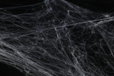 Photo of Creepy white cobweb on black background, closeup