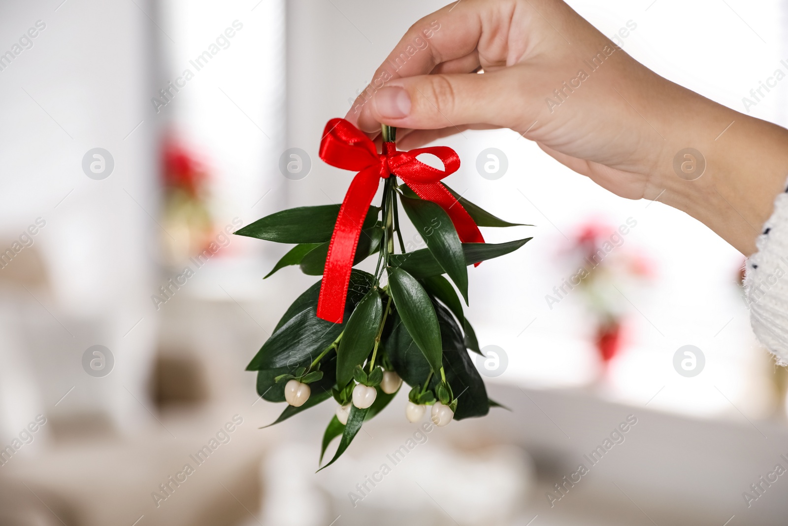 Photo of Woman holding mistletoe bunch with red bow indoors, closeup. Traditional Christmas decor