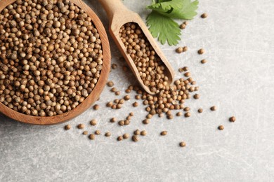 Dried coriander seeds in bowl, scoop and green leaf on light gray textured table, flat lay