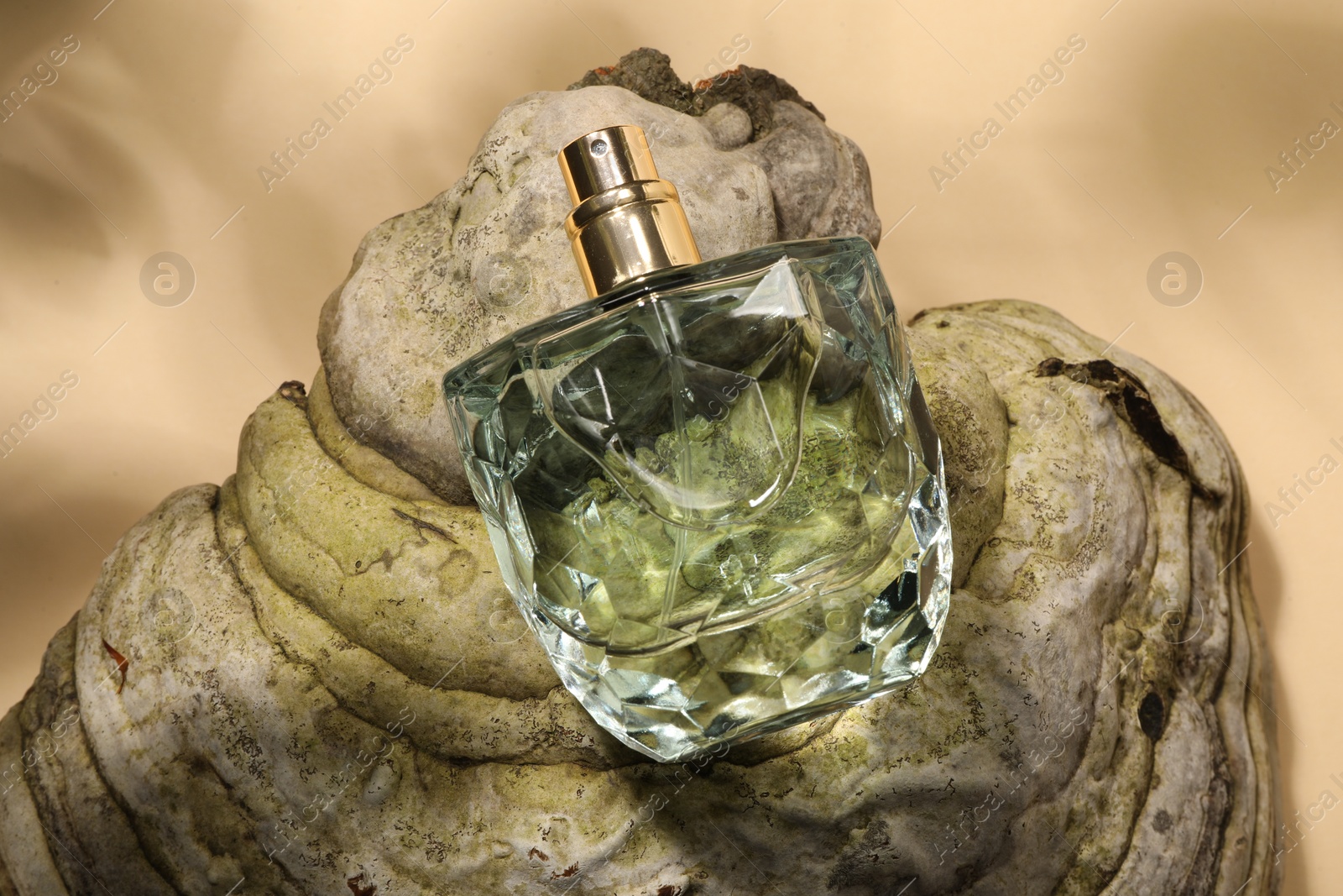 Photo of Luxury perfume in bottle and decorative element on beige background, above view