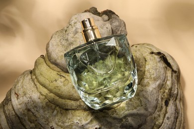 Luxury perfume in bottle and decorative element on beige background, above view