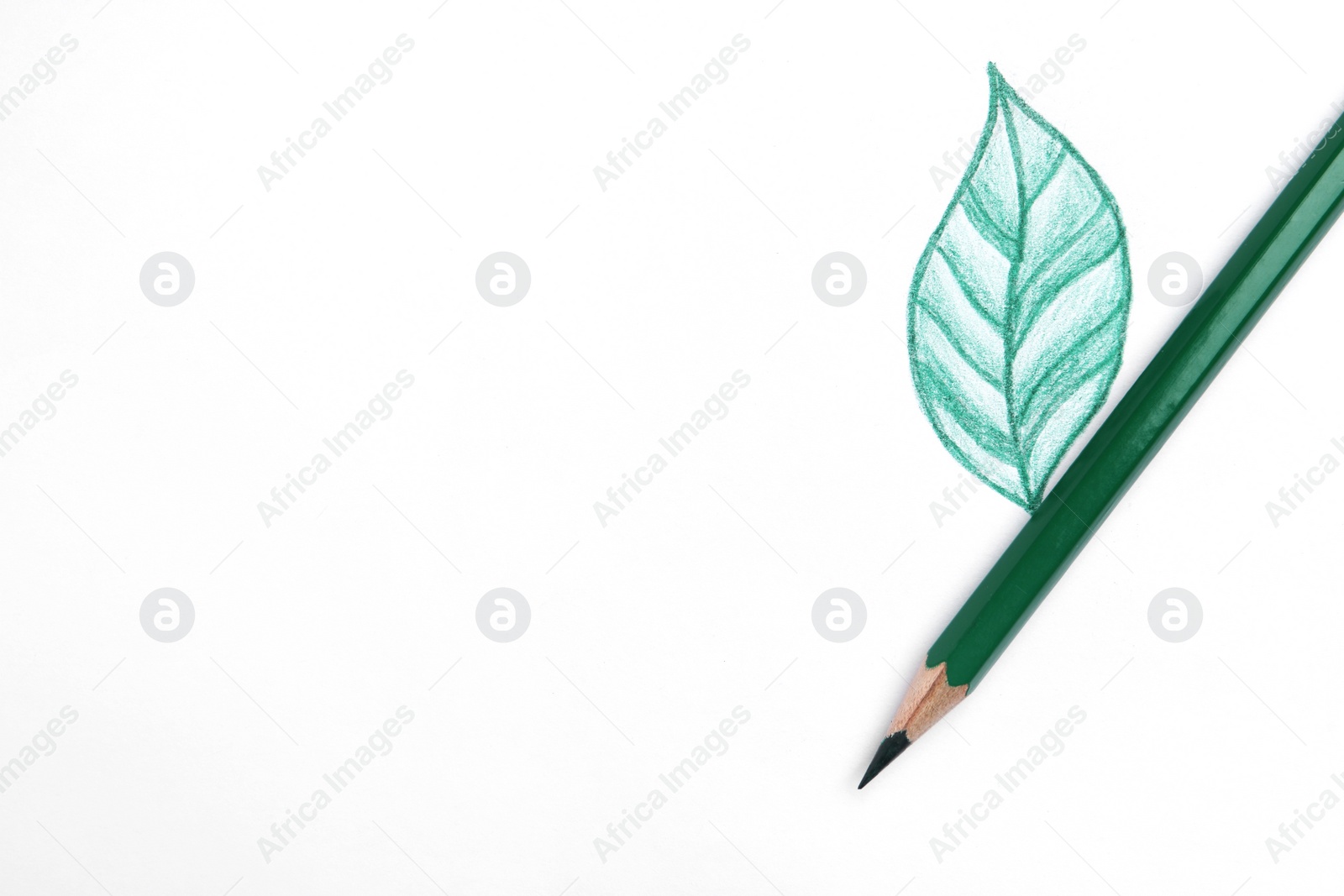 Photo of Drawing of green leaf and color pencil on white background, top view