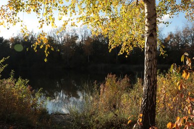 Beautiful view of lake and trees on autumn day