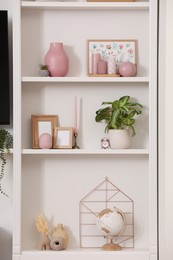 Stylish shelves with decorative elements and houseplants