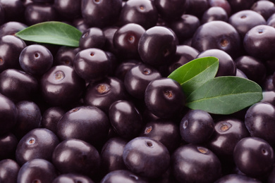 Photo of Fresh ripe acai berries as background, closeup