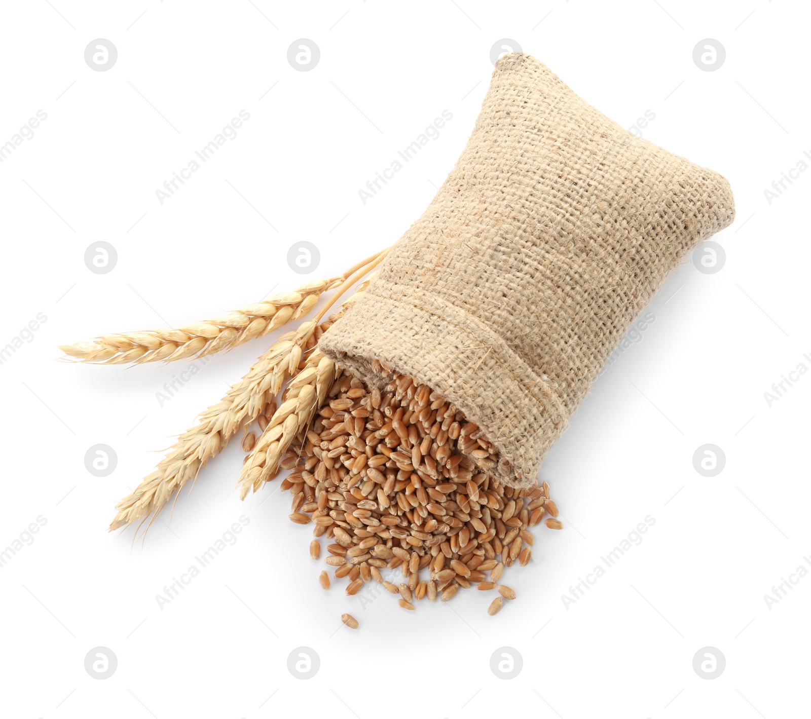 Photo of Sackcloth with wheat grains and spikelets on white background