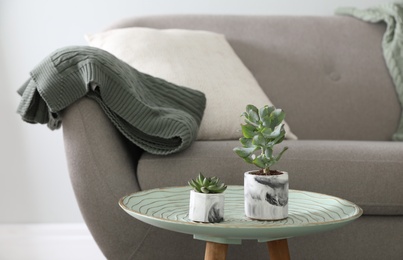 Photo of Soft knitted blanket on sofa in room. Home interior