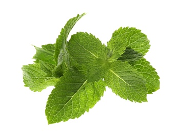 Photo of Leaves of fresh mint on white background