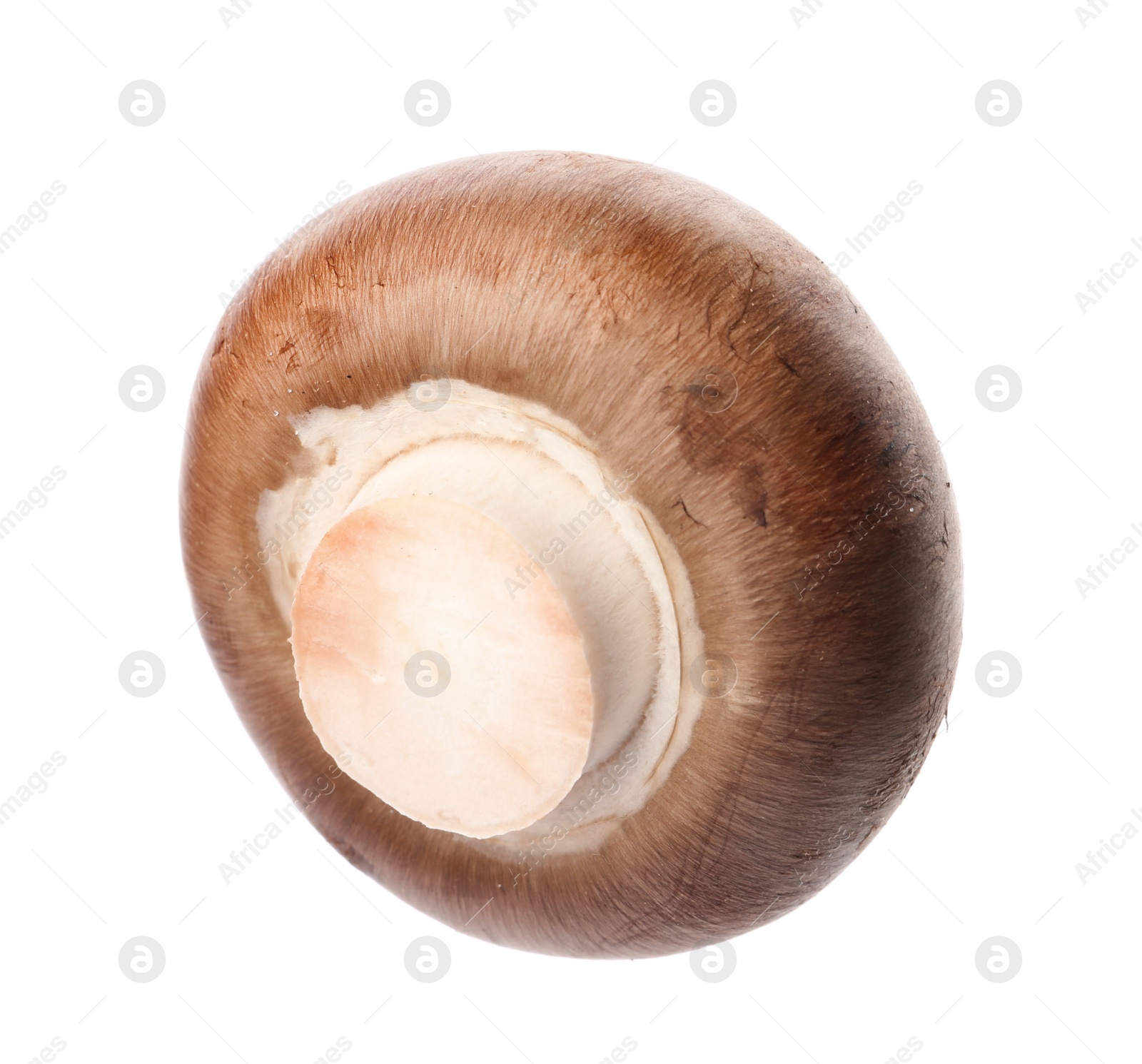 Photo of Fresh champignon mushroom isolated on white. Healthy food