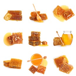 Image of Set with fresh delicious honeycombs on white background