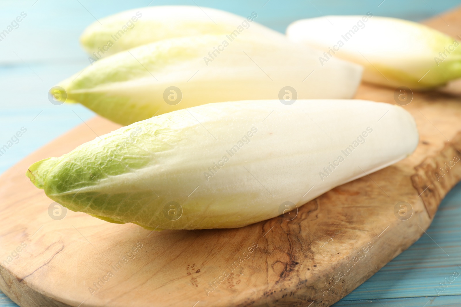 Photo of Fresh raw Belgian endives (chicory) on light blue wooden table, closeup