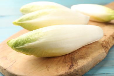 Fresh raw Belgian endives (chicory) on light blue wooden table, closeup