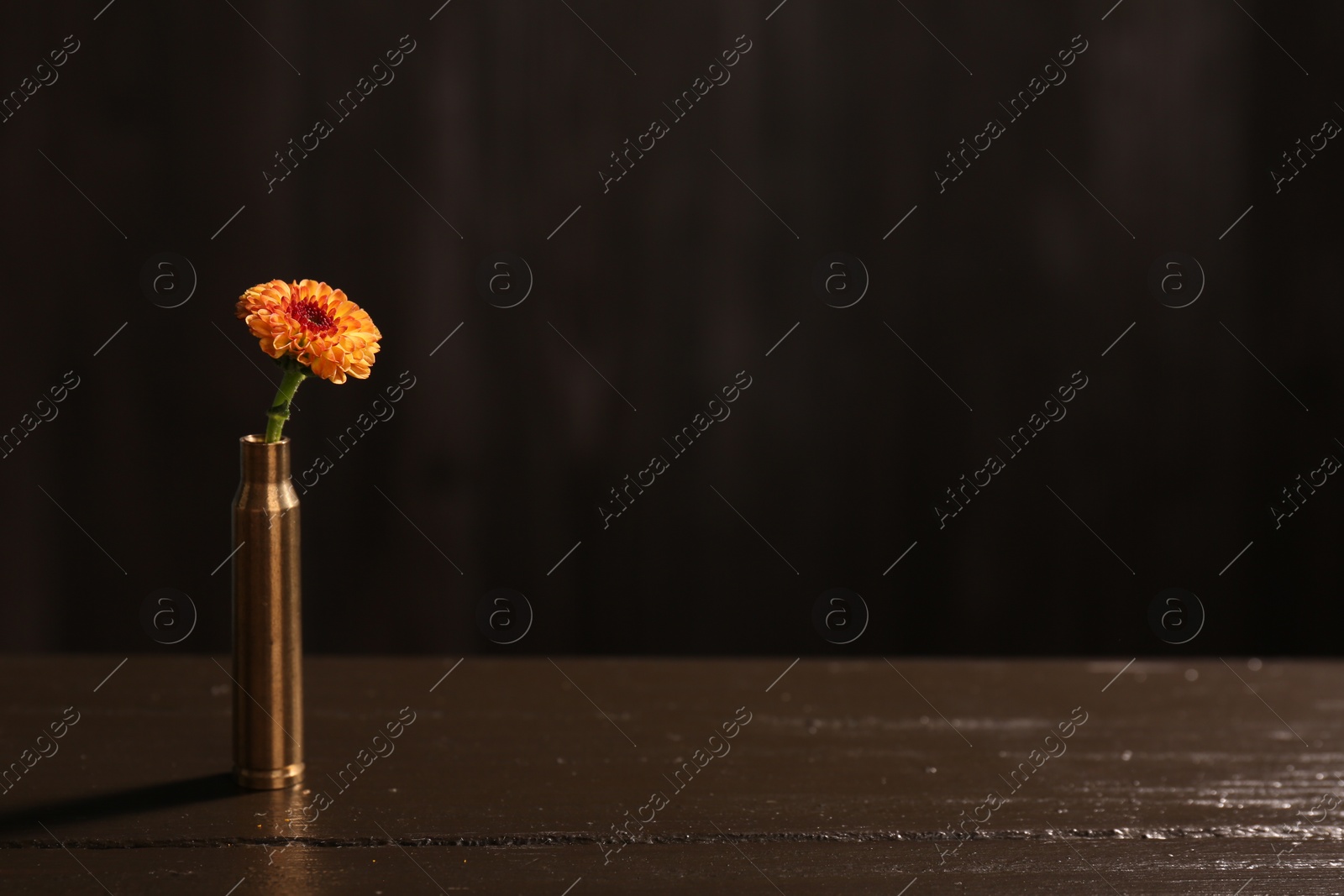 Photo of Beautiful flower in bullet case on wooden table against dark background. Space for text