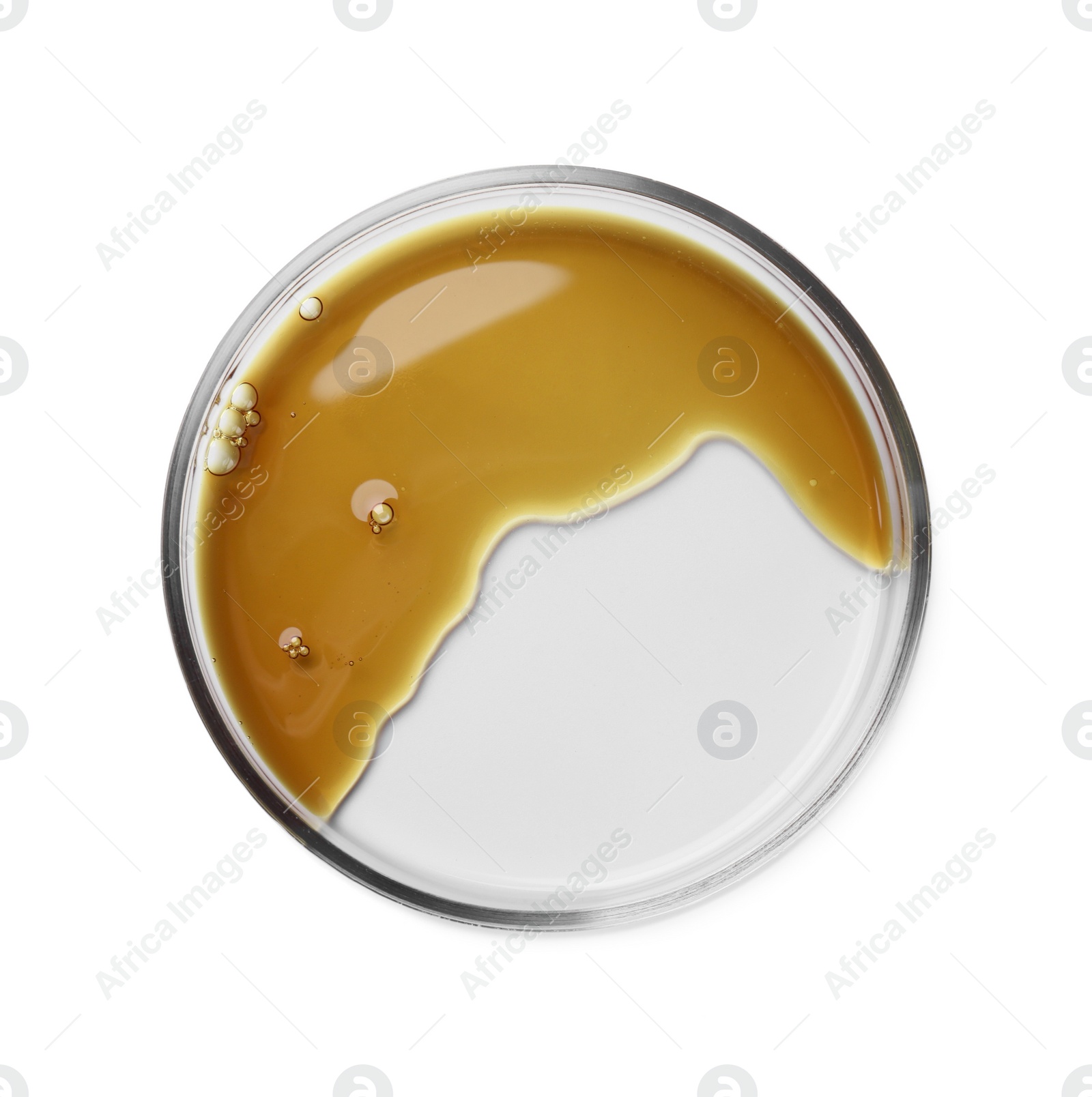 Photo of Petri dish with color liquid sample isolated on white, top view