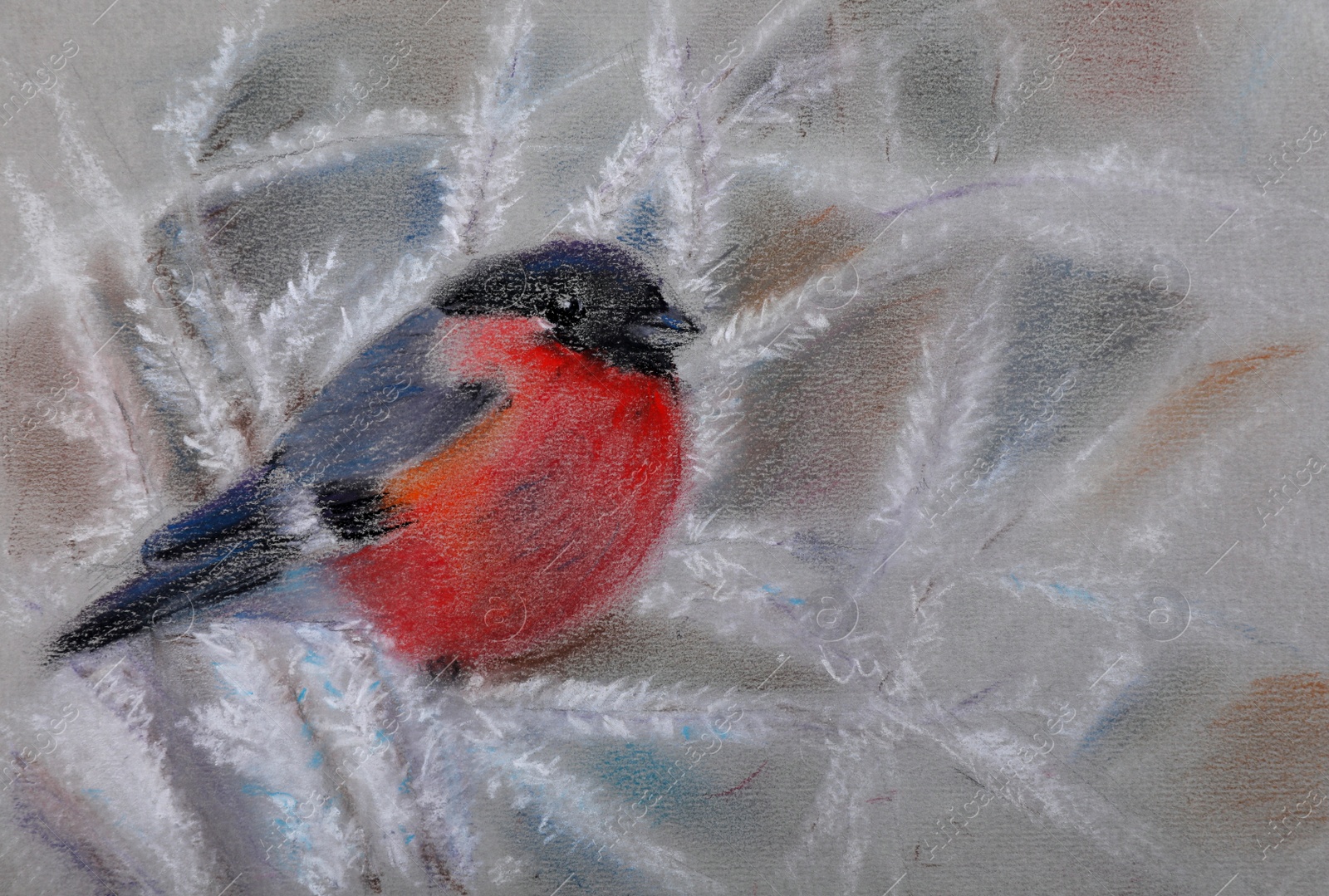 Photo of Pastel drawing of beautiful bullfinch on snowy branch