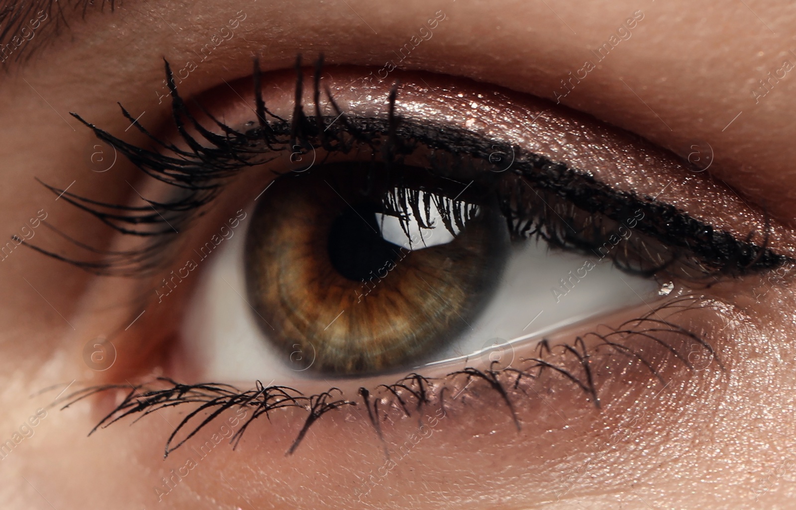 Image of Closeup view of woman with beautiful eye