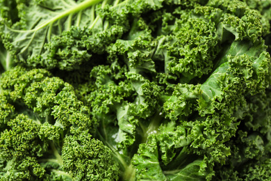 Photo of Fresh wet kale leaves as background, closeup