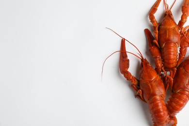 Delicious boiled crayfishes isolated on white, top view