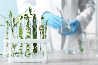 Photo of Test tubes with different plants on table in laboratory