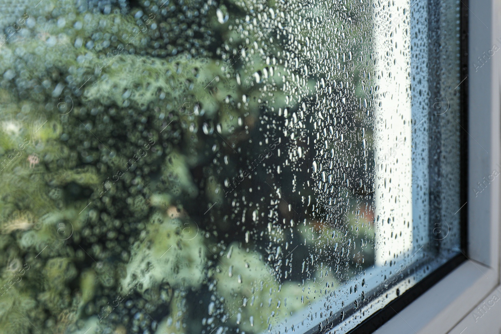 Photo of Window glass with drops of condensate indoors, closeup