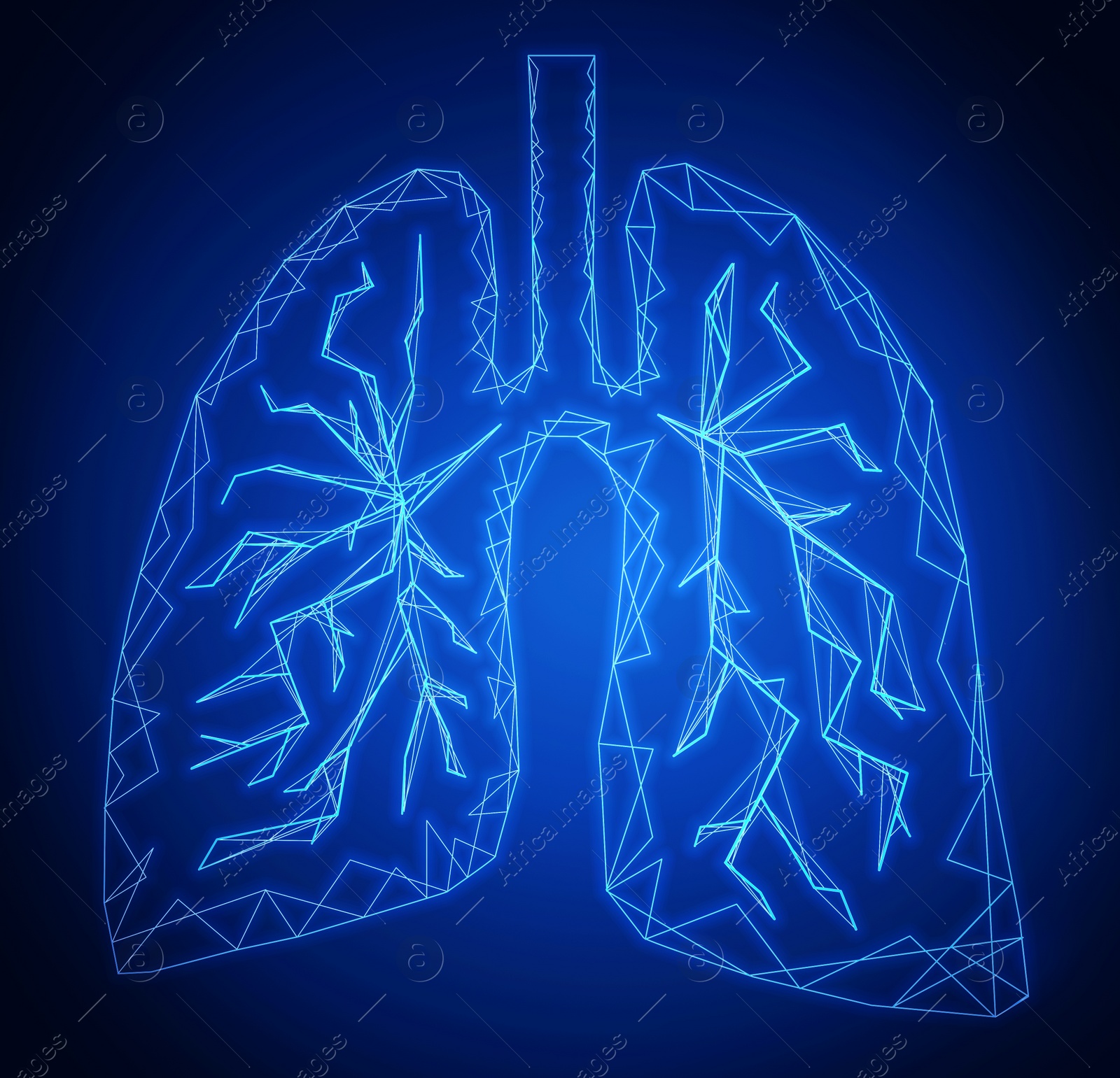 Illustration of  human lungs on blue background