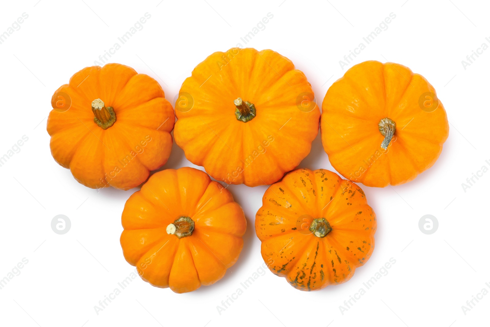 Photo of Fresh ripe pumpkins on white background, top view