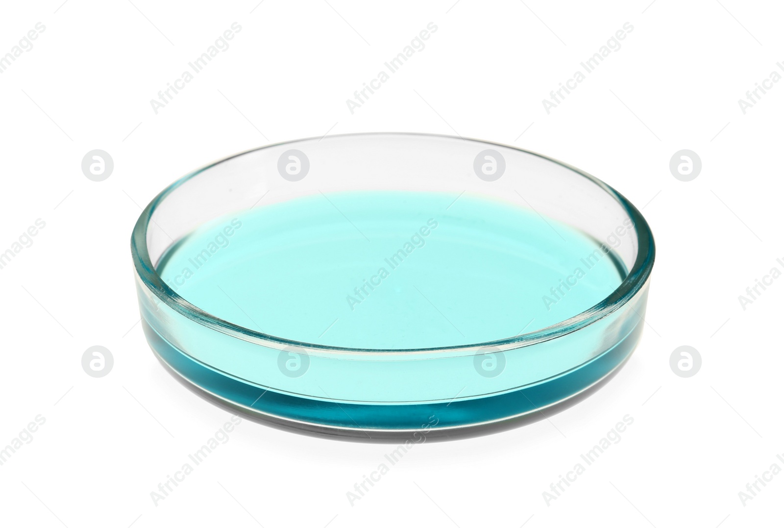 Photo of Petri dish with turquoise liquid isolated on white