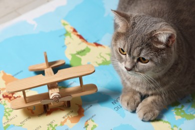 Photo of Cute cat and toy plane on world map, closeup. Travel with pet concept