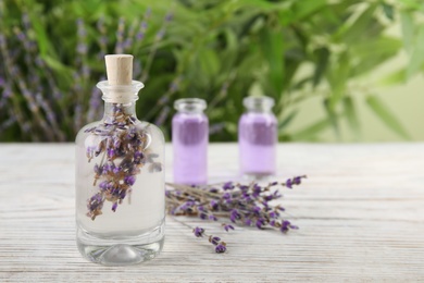 Photo of Bottle with natural herbal oil and lavender flowers on table against blurred background. Space for text