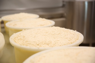 Photo of Moulds with pressed curd at cheese factory, closeup