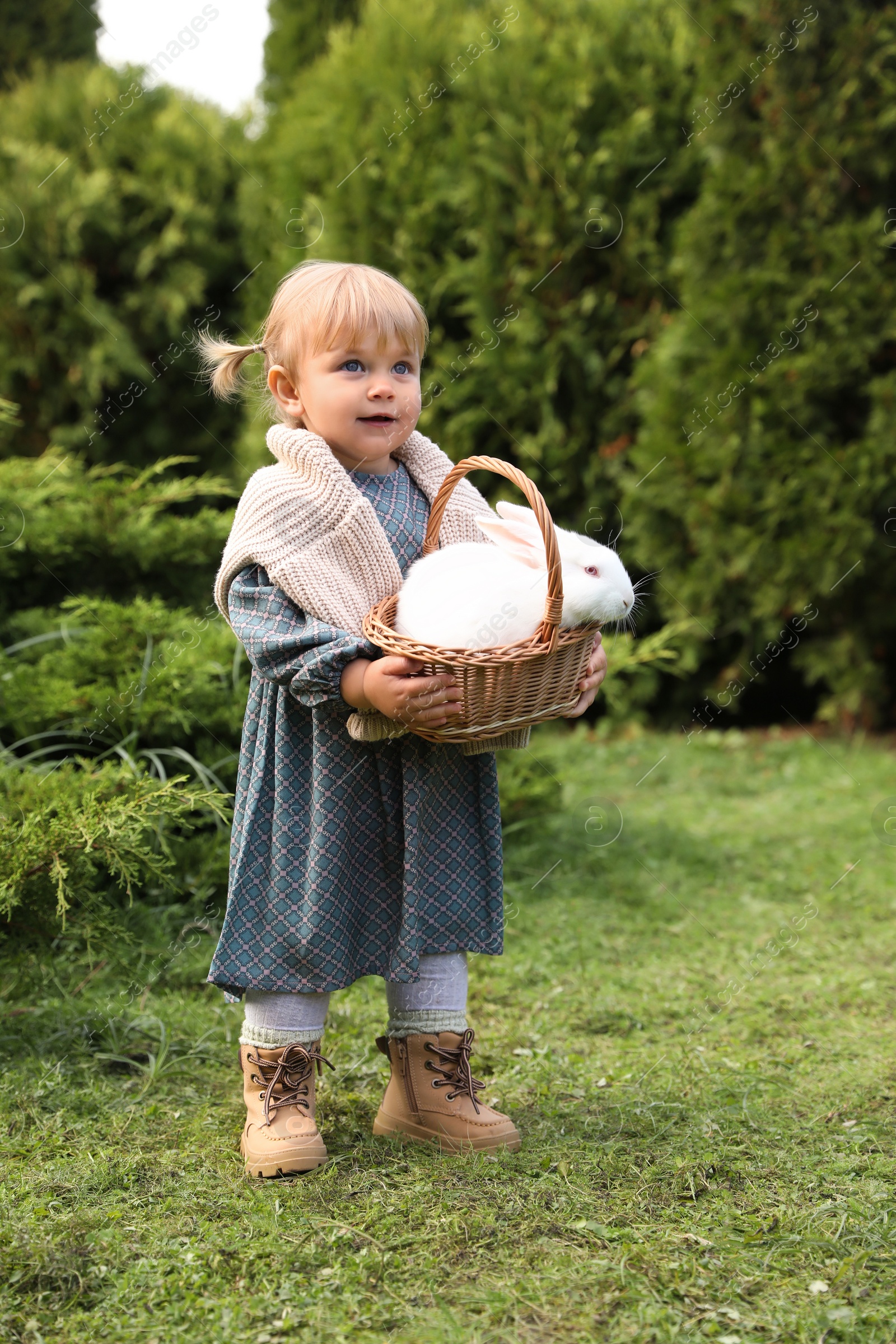 Photo of Happy little girl holding wicker basket with cute rabbit outdoors on sunny day