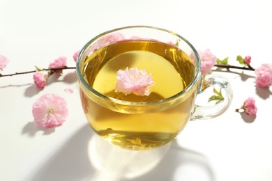 Photo of Glass cup of freshly brewed tea and beautiful flowers on light table