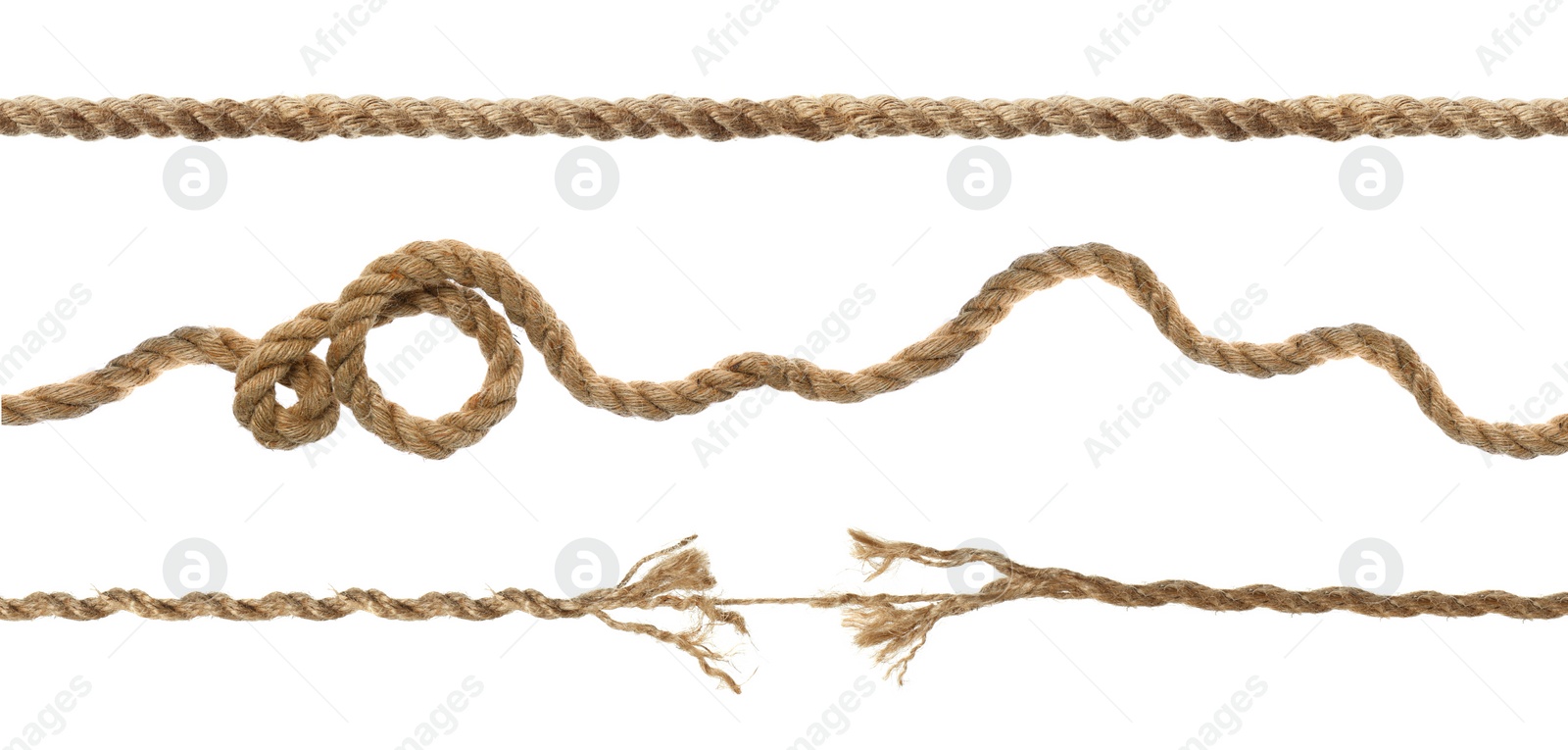 Image of Set with whole and torn hemp ropes on white background