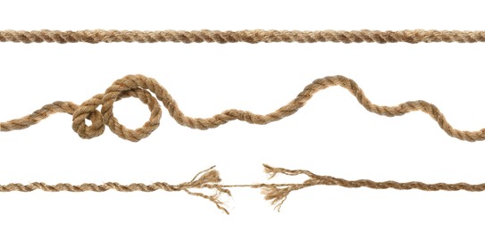 Image of Set with whole and torn hemp ropes on white background