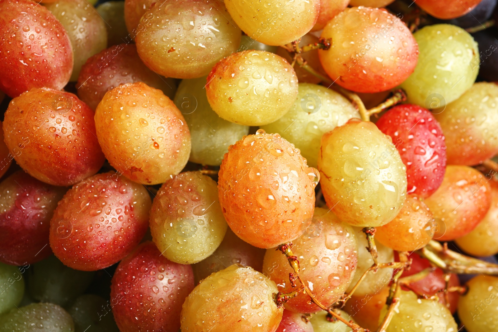 Photo of Fresh ripe juicy grapes as background, closeup