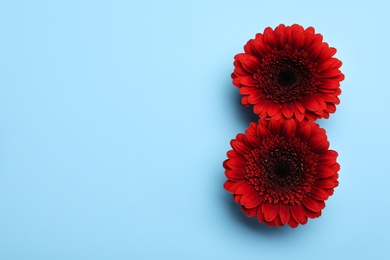 Photo of Number 8 made with red gerberas on light blue background, flat lay and space for text. International Women's day