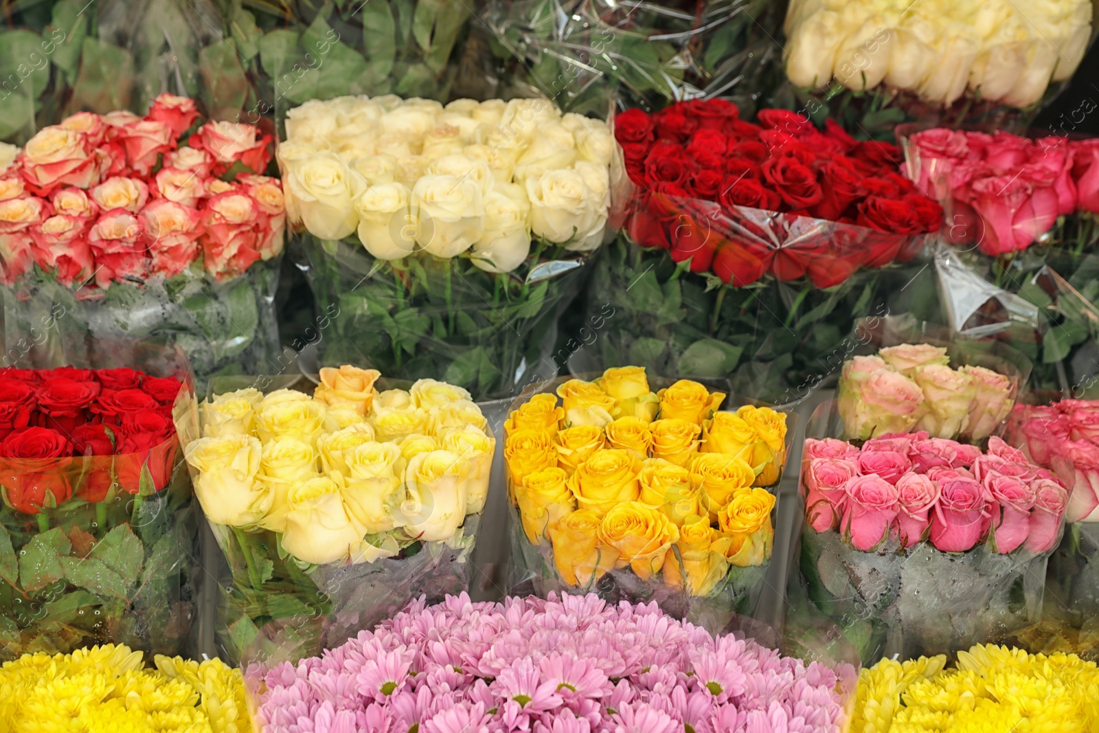 Photo of Assortment of bright flowers in shop. Floral decor