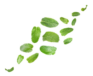 Image of Set of flying green mint leaves on white background