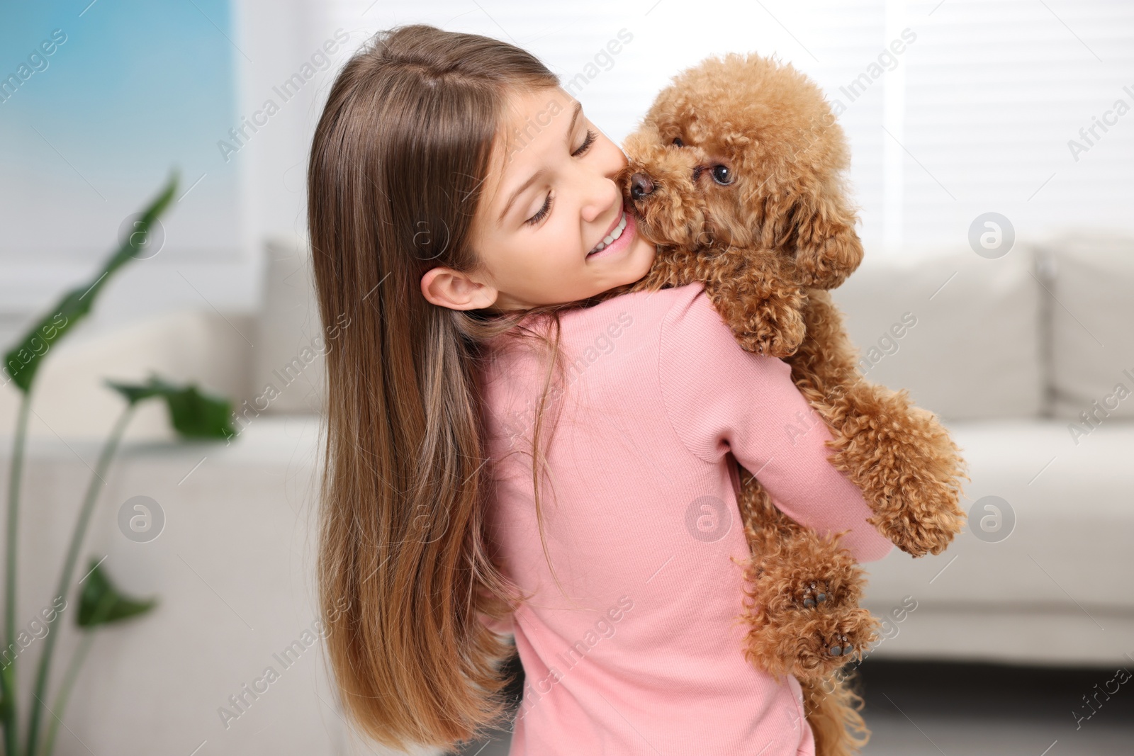 Photo of Little child with cute puppy at home. Lovely pet