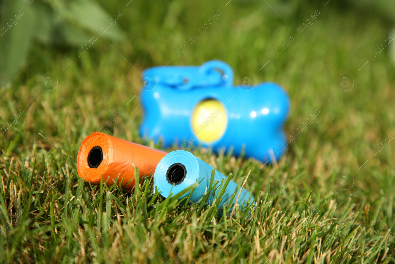 Photo of Rolls of colorful dog waste bags on green grass outdoors, selective focus