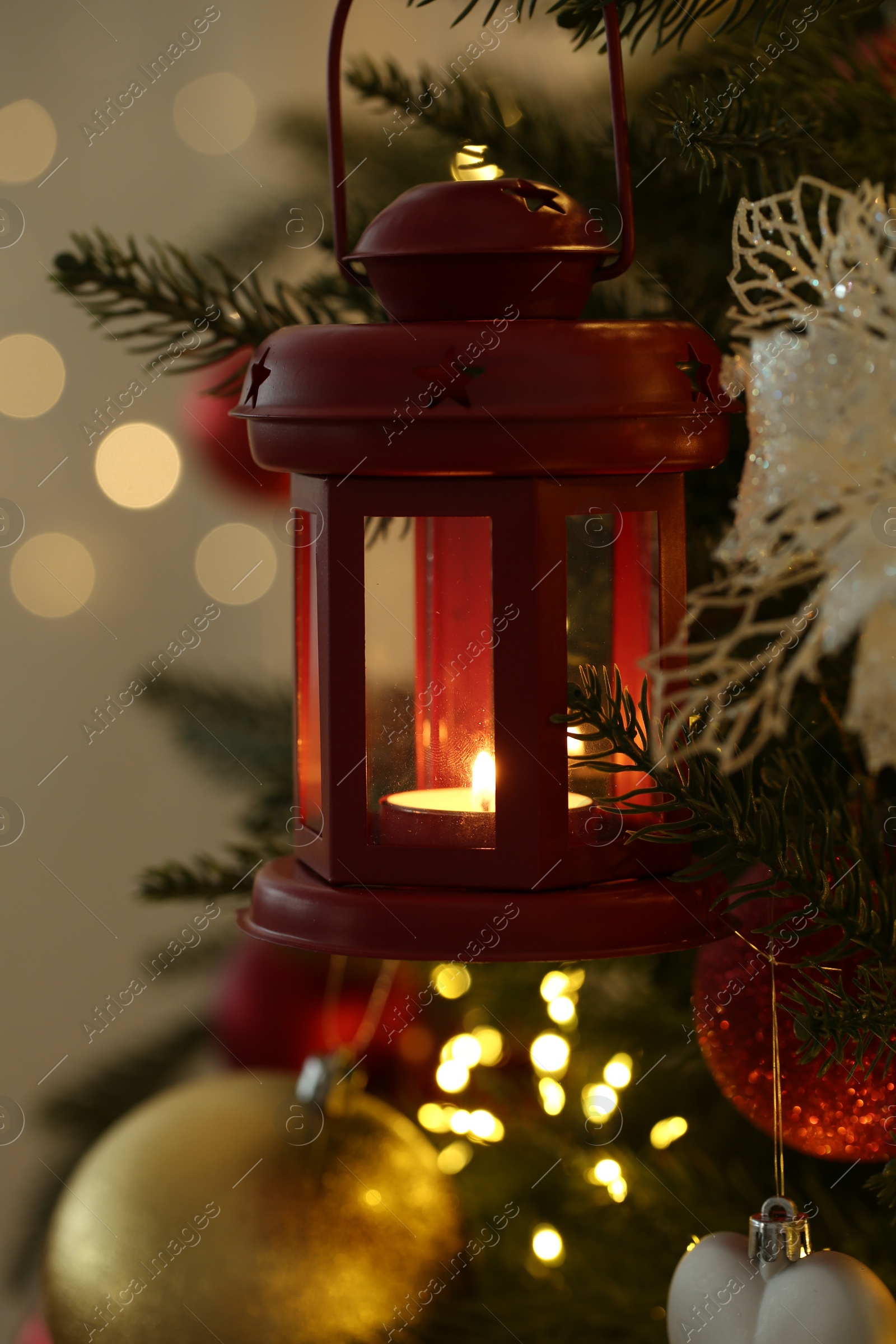 Photo of Christmas lantern with burning candle on fir tree against blurred background, closeup