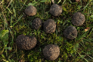 Photo of Fresh truffles on green grass, closeup view