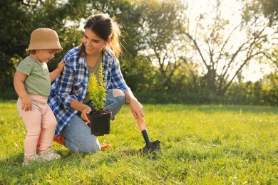 Photo of Mother and her baby daughter planting tree together in garden, space for text