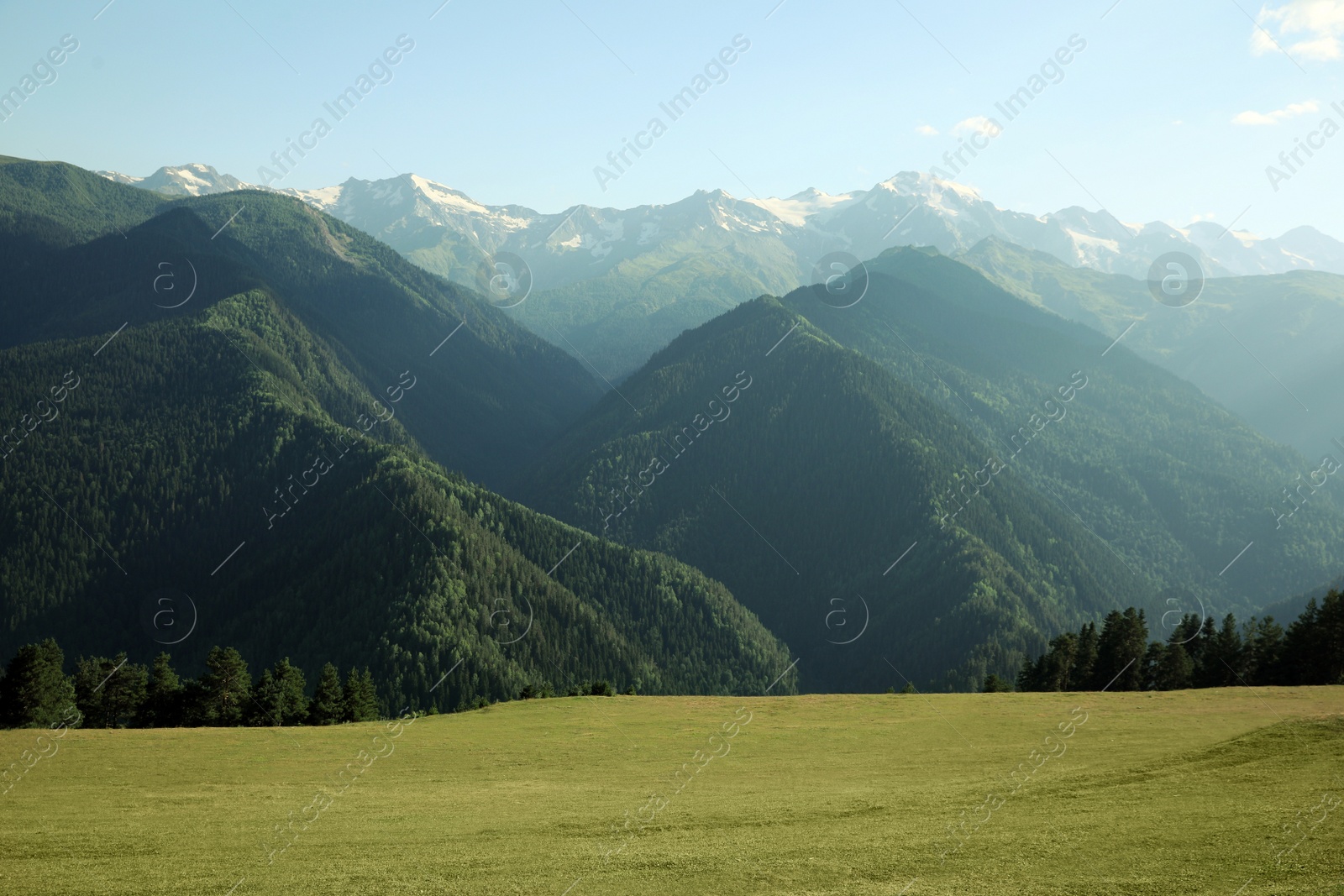 Photo of Picturesque view of mountain forest and people resting on green meadow