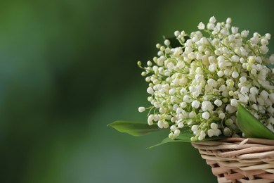 Wicker basket with beautiful lily of the valley flowers on blurred green background, closeup. Space for text