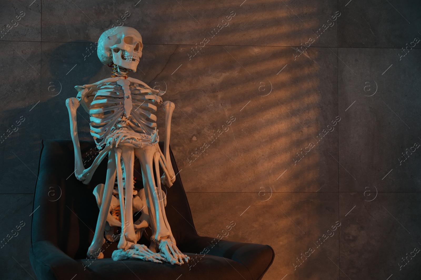 Photo of Waiting concept. Human skeleton sitting in armchair indoors, space for text