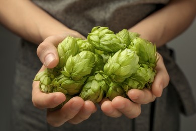 Woman holding pile of fresh ripe hops, closeup