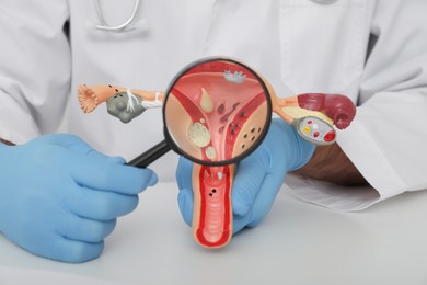 Photo of Gynecologist demonstrating model of female reproductive system at table, closeup