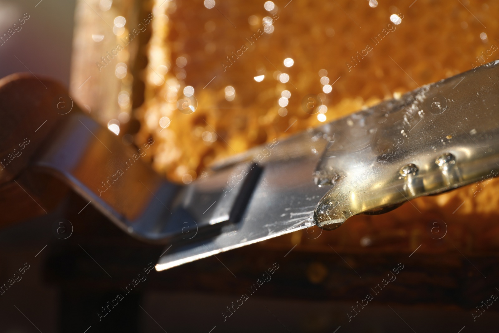 Photo of Fresh sweet honey dripping from uncapping knife on blurred background, closeup