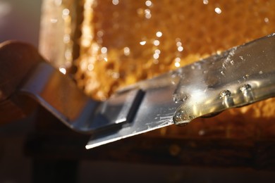 Fresh sweet honey dripping from uncapping knife on blurred background, closeup